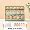 Multi Functional Household Foldable Egg Storage Box Refrigerator Drawer Style Food and Fruit Storage Tray Two Options Available