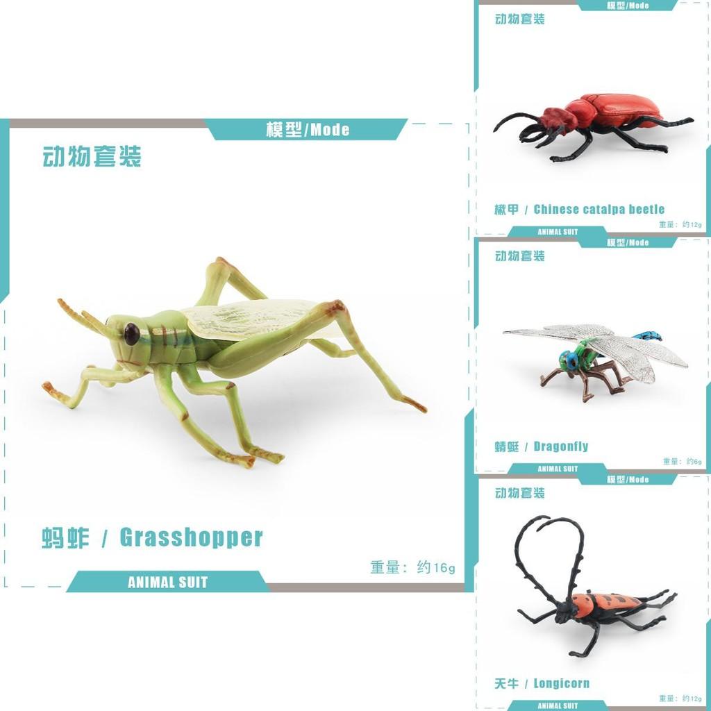 Realistic Pvc Insect Model Set Including Rhinoceros Beetle And Dragonfly For Decoration