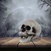 Halloween Large, Medium And Small-SizedSkull Props, Escape Room, Haunted House Decoration Items And Props