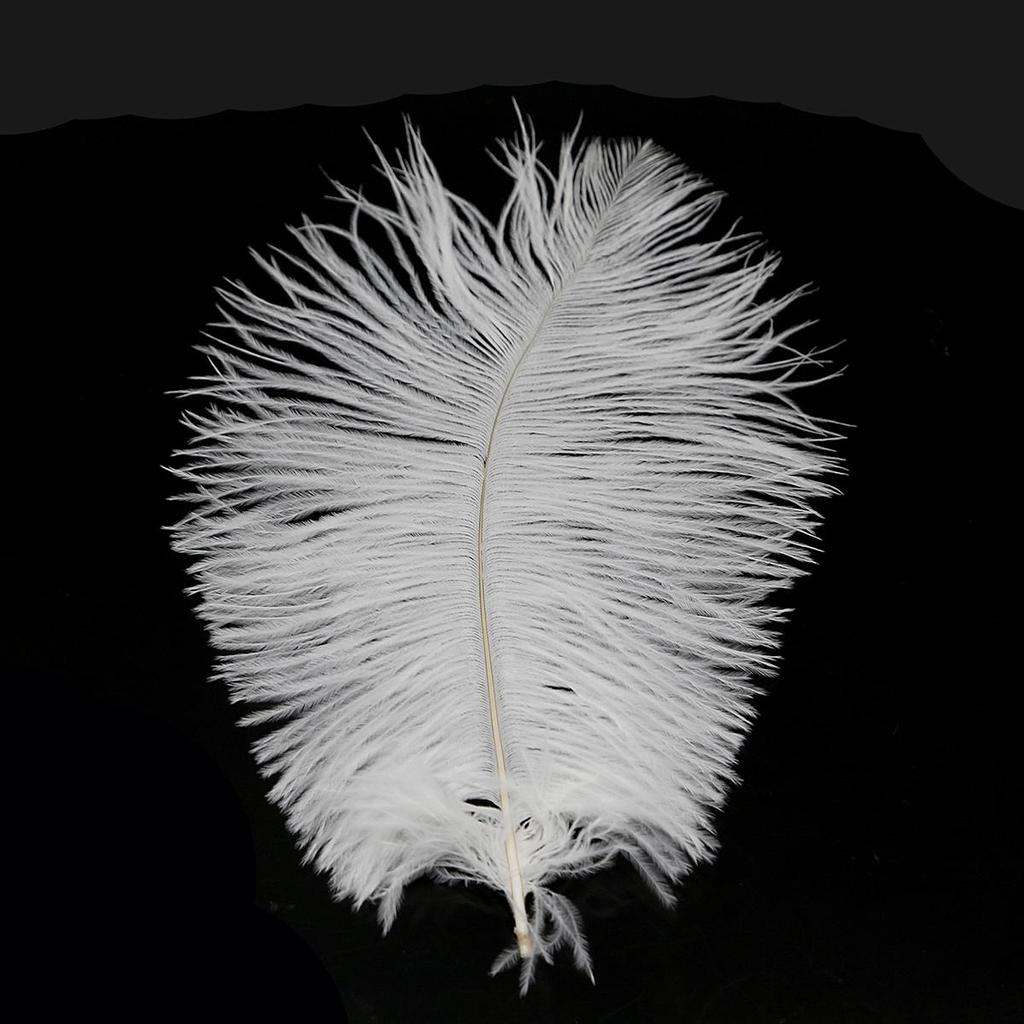 Beautiful Ostrich Feathers For DIY Jewelry Craft Making Wedding Party Decor Accessories Wedding Decoration