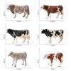 Simulated Cow Farm Pasture Poultry Animal Model Ornaments Buffalo Bull Children Early Education Model Toys