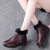 New Winter Women Boots Thick Plush Woman's Ankle Boots Zipper Comfortable Outdoor Snow Boots Fashion Cotton Shoes