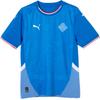 Puma Iceland National Team Home Fan Version Jersey Men Tops Racing-Blue 773951-01