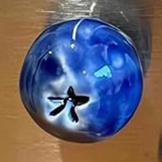 5/6/10 шт. 3D Магнит на холодильник с черникой Сделай сам Дом Офис Кухня Шкафчик Холодильник Смола Мини Ягода Фрукт Магнитное Украшение Орнамент