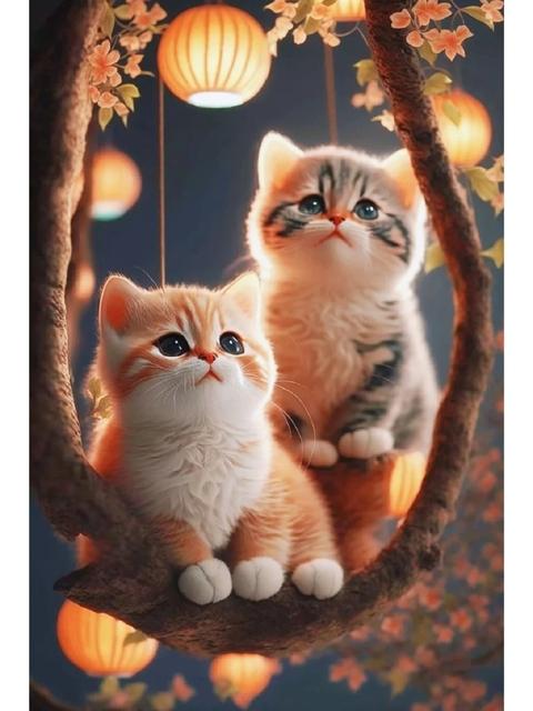 5D полная дрель DIY Алмазная вышивка милые кошки алмазная живопись животное мозаика комплект стразы фотографии