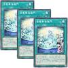 [Set of 3] Yu-Gi-Oh! Cards: Toryuukakai Takimon (Normal) DBCB-JP038