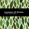 Leaves of Grass by Walt Whitman Hardback Book 9781513220796