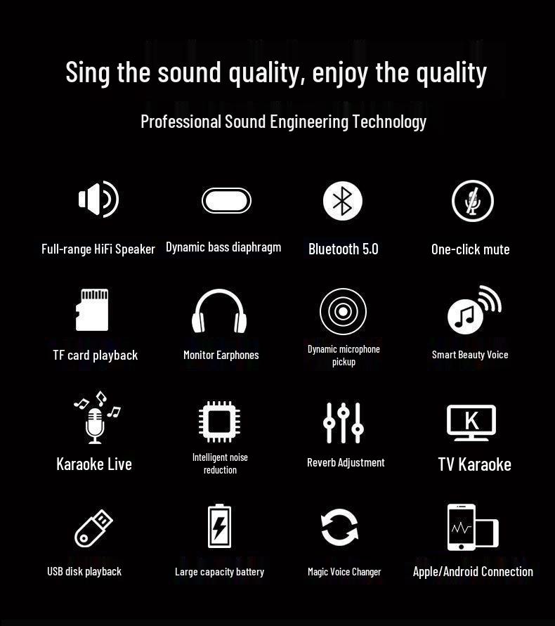 Wireless Bluetooth Mobile Microphone & Speaker for Home Karaoke with Built-in Sound Card