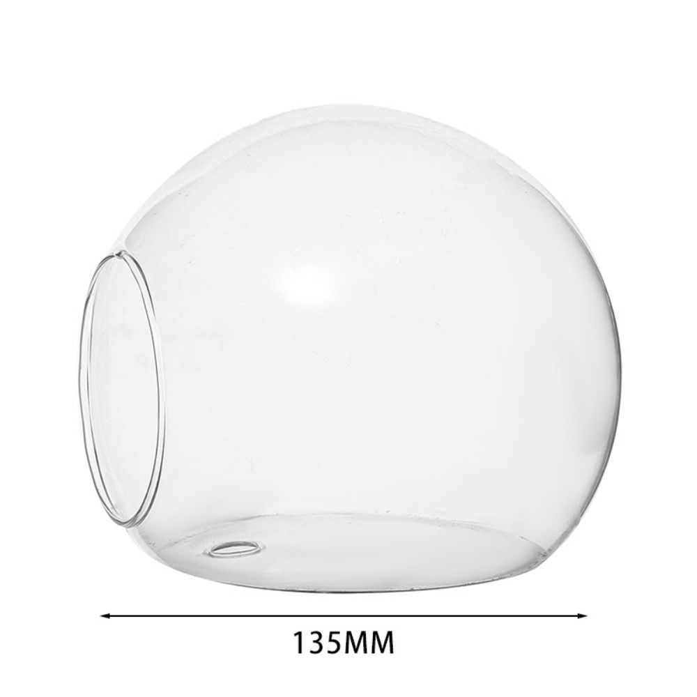 Террариумный контейнер, бутылка для цветов, суккулентное растение, ваза для гидропонных растений