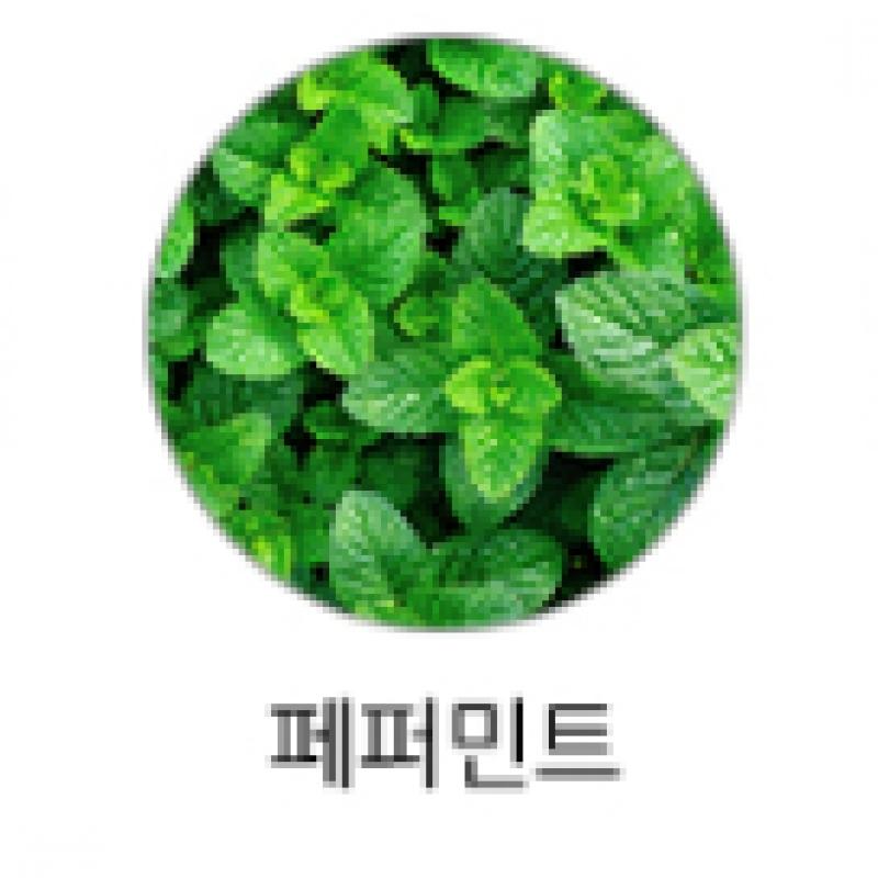 LINDSAY Lindsay Premium Cool Tea Tree Modeling Pack 1 кг