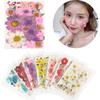 Mixed Color 3D Floral DIY Face Sticker Decor Nail Art Decorations Real Dried Flower Manicure Tips