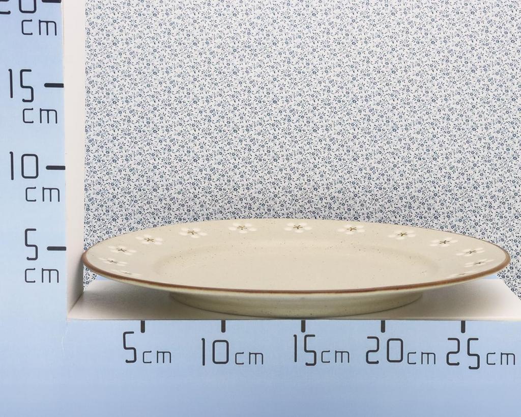 Castle Enterprise [Set of 5 29cm Dinner Plates] Mino Ware, Kamakura Old House Cafe Series