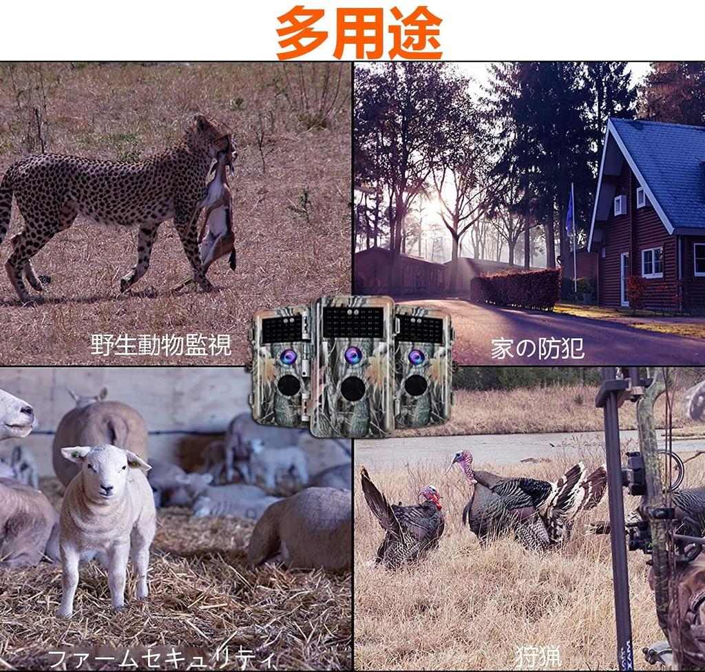 Blazevideo Trail 2 Human Wildlife Surveillance 32 Million Second IP66 Waterproof and Invisible At Battery Japanese Instruction Manual Camera, Pieces,