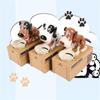 Anti-fall Electronic Piggy Money Box Cute Coins Storage Box  Home Decor