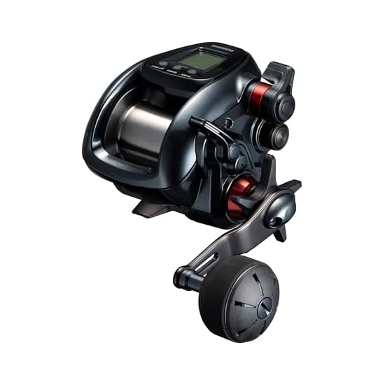 SHIMANO Electric Reel 24 Plays 3000