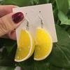 Resin/Alloy  Lemon Orange Earrings Watermelon Earrings Kiwi Earrings Pendant Summer Fruit Jewelry