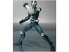 SHFiguarts Kamen Rider Ryuki Бланк Боди Tamashii Nation 2011