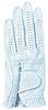 Kasco SILKY FIT Golf Regular 26cm Gloves, Size, Men's, GF-17251, White,