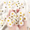 Fabric Silk Daisy Flower Head 100/200pcs White Daisy Artificial Chrysanthemum Fake Flowers Heads for Wedding Home Party Decor