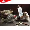 Алмазная картина животное хомяк горный хрусталь мозаика Алмазная вышивка крестиком