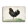 Farm Chicken Fresh Eggs Metal Tin Signs Vintage Plaque  Wall Art Decor Tin Plate Retro Poster Bar Happy Farm Home Wall Decor