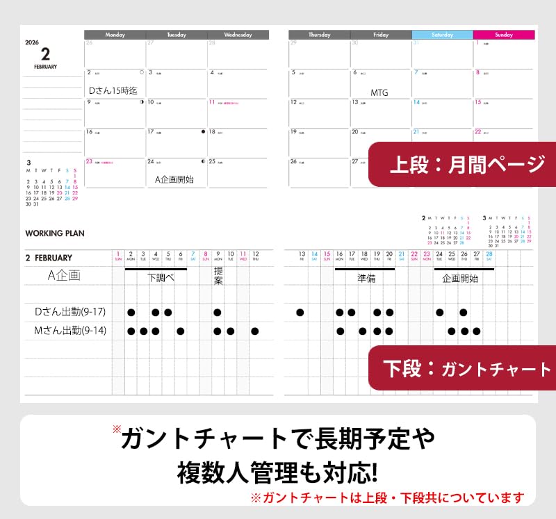 Отдельный дневник, планер, начало в январе, 2026, B6, ежедневный и ежемесячный, [только блок], еженедельник с вертикальной сеткой, Ito Techo, D-B6-RFL
