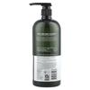 Avalon Organics Шампунь для лечения кожи головы, чайное дерево, 32 жидких унции (946 мл)