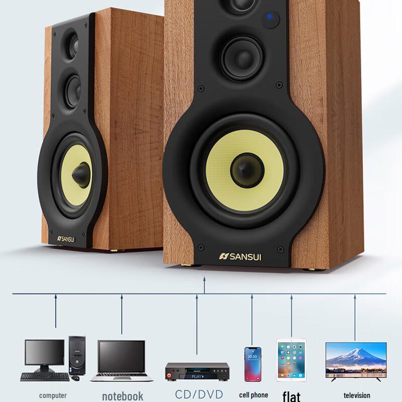 Sansui S880 HiFi 2.0 Home KTV Audio System