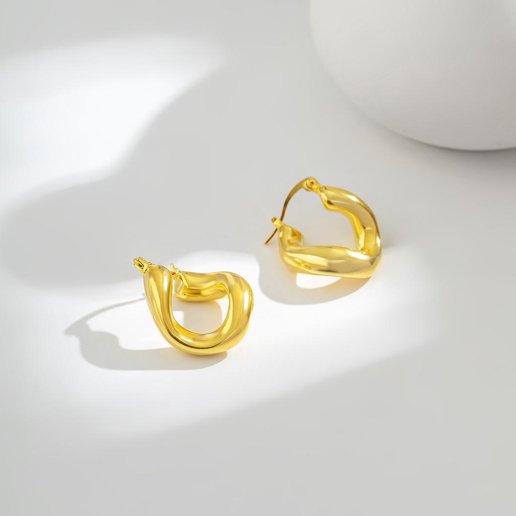 Retro Irregular Geometric Design Earrings Women's Autumn and Winter Simple Cold Wind Niche Design Personalized Earrings