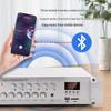 SAST YL-21 Outdoor Waterproof Public Address System with Bluetooth Amplifier CN plug (adapter included)