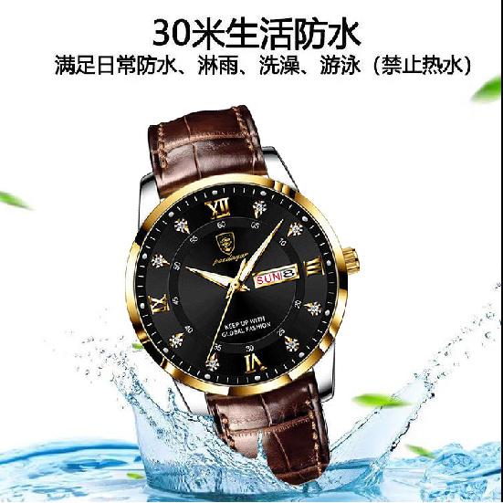 POEDAGAR National Top Swiss Brand Men's Waterproof Luminous New Style Watch Leather Strap Quartz Watch