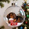 3D Animal Christmas Ball Decoration Dachshund/Tennis/Baseball/Golf Clear Plastic Xmas Ball Ornament for Winter Xmas Tree Holiday Home Decor