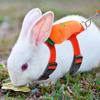 Tondiamo 4 Sets Adjustable Bunny Rabbit Harness and Leash Set Small Pet Cute Vest Harness Leash with Decoration for Bunny Ferret Small Pets(Fruit)