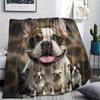 1 шт. Фланелевое одеяло с принтом французского бульдога, Высокое качество, Удобное для всех сезонов, Декор для дома, Тепло и уют, Идеально для подарков