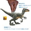 Mattel Jurassic World Хикару Велоцираптор возрастом 10 лет и повреждениями HNC11! [Общая длина приблизительно. 19,8 см] [4 вверх]