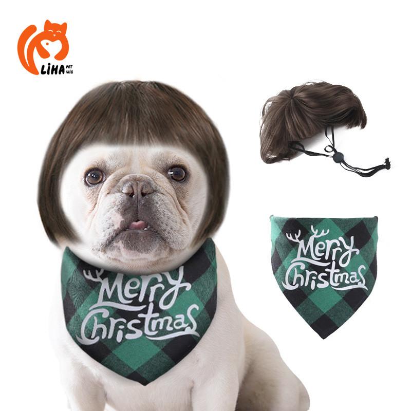 Adorable Pet Wig With Bangs Cute Bob Style For Cats And Dogs In Vibrant Colors