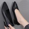 2024 Spring and Fall New Mid-heel Pointed Work Shoes Casual Women's Shoes
