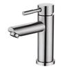 Basin Faucet 304 Stainless Steel Single Cold Water Tap Black Silver Color Deck Mounted Basin Sink Tap