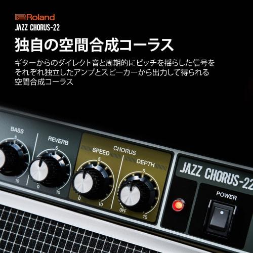 Roland/JC-22 Roland Guitar Amplifier with Jazz Chorus, 30W