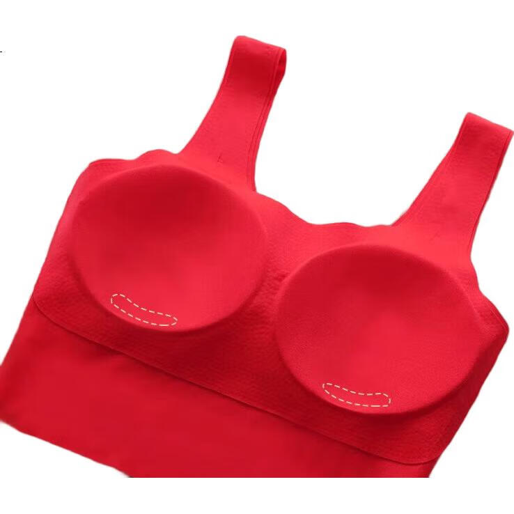LangSha Girls' Zodiac Year Underwear Set [26 Spring/summer New Arrival], Student Development Period Anti-Nipple Bra