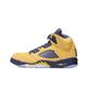 Nike Air 5 Retro SP Michigan Amarillo College Navy CQ9541-704