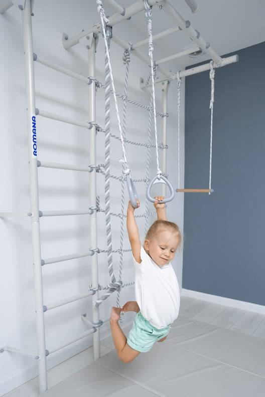 Wall Bars Comet Next 5 - Purple