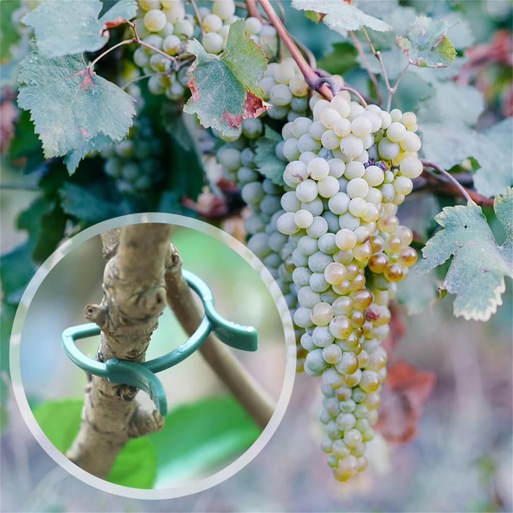 200 шт. Зажимы для подвязки садовых лоз Садовая бабочка-пряжка Пряжка для связки растений Распорка для томатов Садовый держатель для растений Инструмент