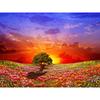 Алмазная картина Полный дрель Квадрат 5d Алмазная полная круглая алмазная картина Закат Прерия