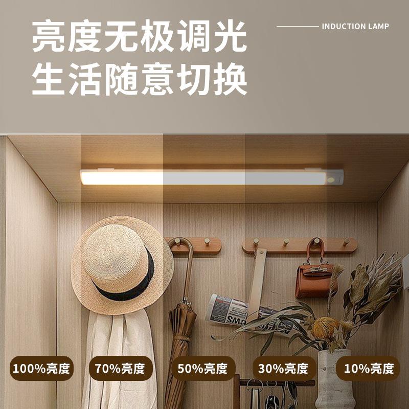 Ультратонкая интеллектуальная светодиодная лента с индукцией человеческого тела, магнитная присоска, самоклеящаяся светодиодная лента для гардероба, перезаряжаемый винный шкаф