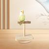 Bird Flat Perch ,Parrot Toy, Paw Grinding ,Cage Accessories ,Bird Playground Play Stand
