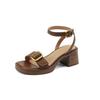 Fashion Ankle Strap VINTAGE Sandals for Women Open Toe High Heels Sandalias De Mujer Belt Buckle Square Heeled Women Pumps
