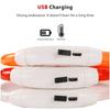 Светодиодный ошейник для собак, светящийся Usb ошейник для кошек, собак, 3 режима, светодиодный свет, светящийся светодиодный ошейник для предотвращения потерь, аксессуары для собак