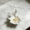 jijijing 3D Printed Jewelry Tray, Water Splash Design Organizer for Rings, Earrings, Necklaces, Pearlescent Storage Box
