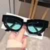 Fashion Cat Eye Sunglasses with Irregular Thick Frame, Perfect for Outdoor Street Photography, Ordinary Decorative Eyeglasses